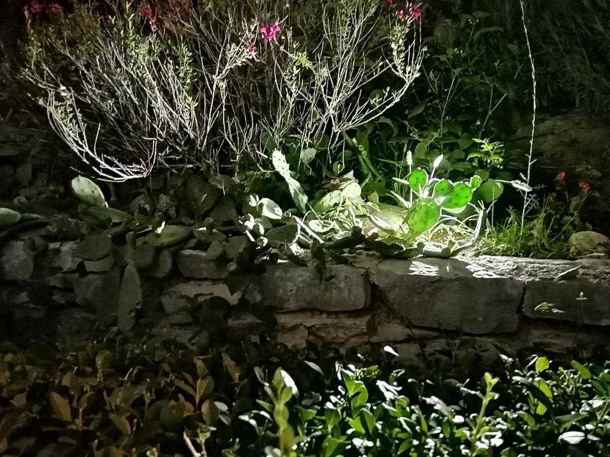 Apartment Mr Bellina Σίμπενικ Εξωτερικό φωτογραφία